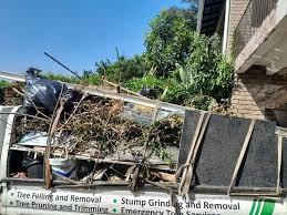 Shed Removal in Port St John, FL